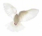Holy Ghost